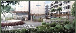 Whitehaven (D5), Apartment #466541711